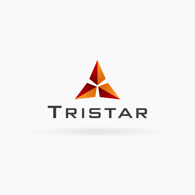 Tristar Group, New Delhi